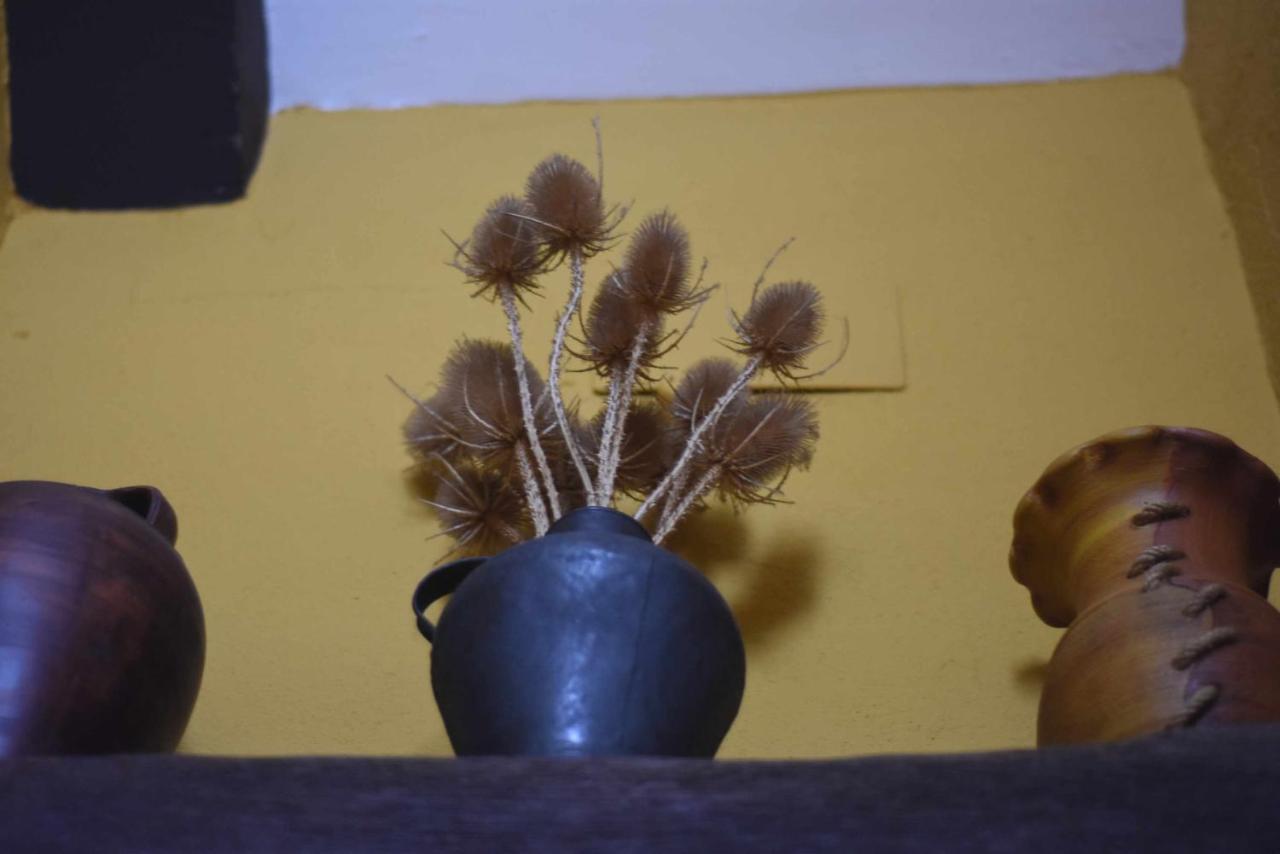 Casa Rural De Estilo Rustico Con Spa Almagro Zewnętrze zdjęcie